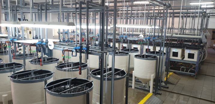 Agriculture / Aquaculture